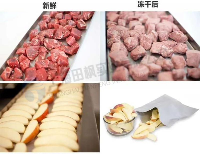 實(shí)驗(yàn)室凍干機(jī)：實(shí)驗(yàn)室真空冷凍干燥機(jī)在食品凍干應(yīng)用