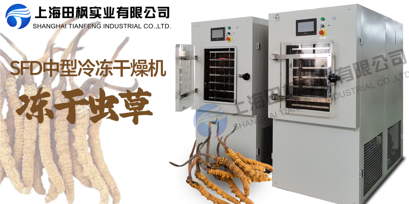凍干機(jī)制作凍干蟲草的五大優(yōu)勢(shì)