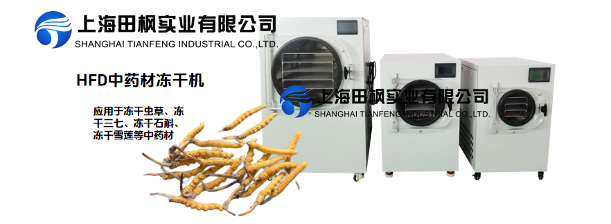 凍干機(jī)在中藥材蟲草加工中的應(yīng)用
